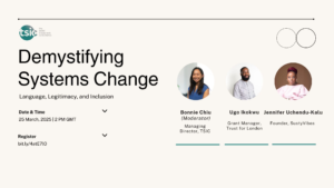 Demystifying Systems Change: Language, Legitimacy, and Inclusion