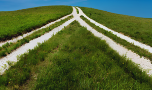 M&A as stewardship, not absorption
